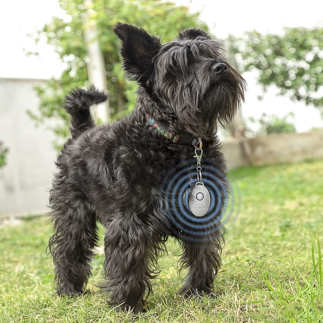 Antiparásitos por Ultrasonidos Recargable para Mascotas PetRep InnovaGoods 2