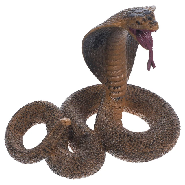 Jouets serpent d'eau - Soulagement du stress pour enfants et adultes