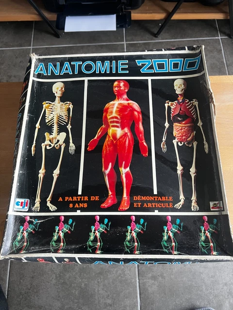 Jeu magnétique éducatif corps humain: anatomie & squelette en magnet