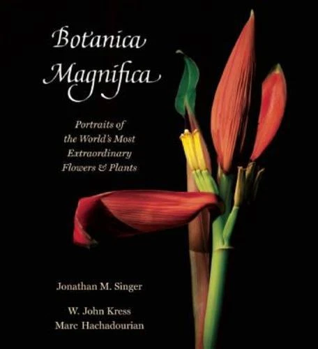 Botanica Magnifica: Portraits of the World's Most Extraordinary Flowers and