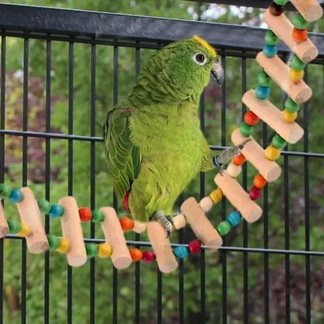 Haustier-Vogel-Papageien-Kanarienvogel-Spielzeug-hölzerne Leiter-Brücke