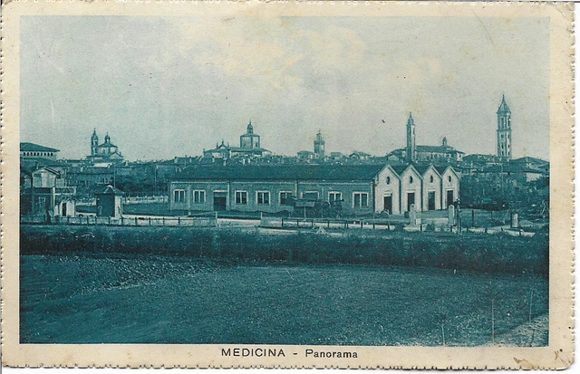 cartolina  MEDICINA - PANORAMA