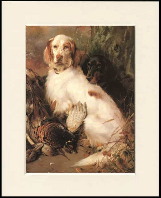 English Setter Gordon Setter Lovely Little Dog Print Mounted Ready To Frame