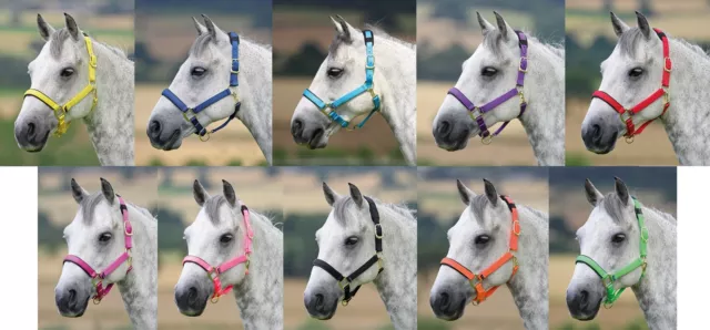 Shires Topaz Nylon Headcollar XXS PONY - EXTRA FULL *ALL COLOURS & SIZES**