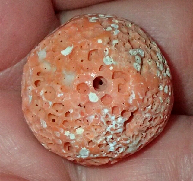 25mm Natural CORAL Bead, 9 Grams, #S6173