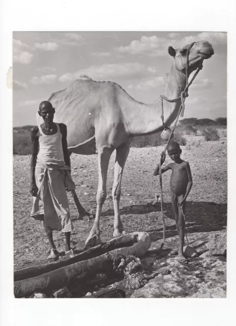 Father Son & Camel NFD Kenya - Press Photo c1970s