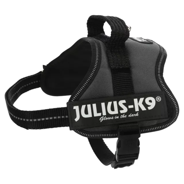 Julius-K9 Chiens Plats Electriques Anthracite,Différentes Tailles,Neuf 3