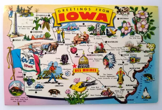 Greetings From Iowa Map Chrome Postcard Birds Flowers Flag River Fishing 1975
