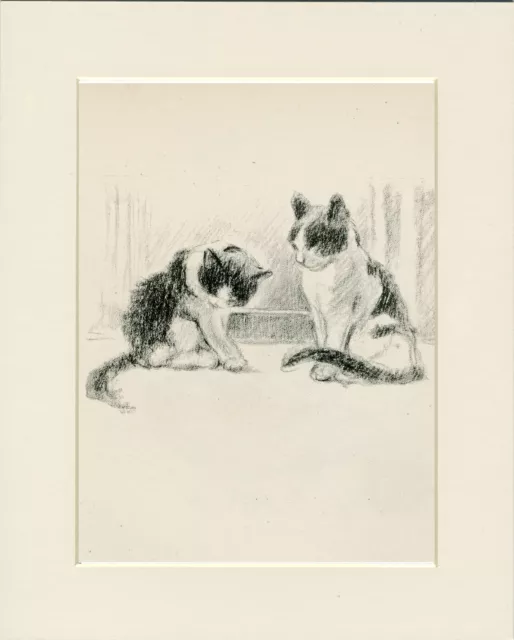 Two Cats Lovely Original Old 1946 Cat Art Print By Lucy Dawson  Mounted