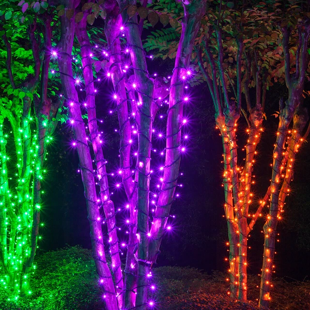 70 Orange Purple Green LED Halloween Lights, Black Wire, 24ft Party Porch Lawn 3