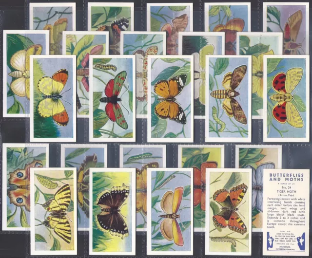 Swettenham (Tea)-Full Set- Butterflies & Moths 1958 (25 Cards) Excellent+++ 3