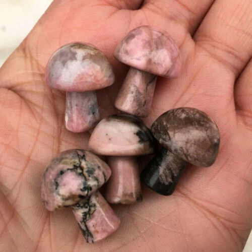 Rhodonite Jasper Hand Carved mushroom Quartz Crystal Reiki healing 5pc