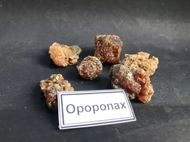 Opoponax Opopanac Gum Myrrh Bold Size Resin Incense opobalsam Commiphora Myrrha