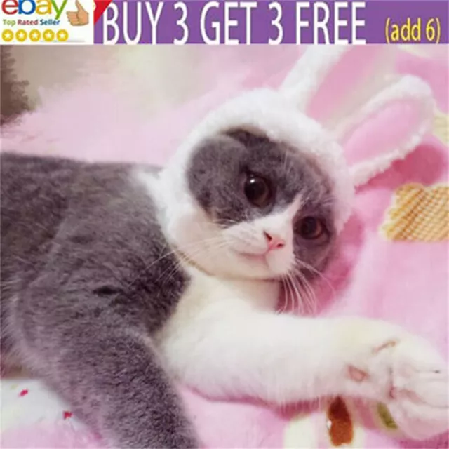 Chapeau de lapin avec oreilles pour chat et chiot Party cosplay headwear FU