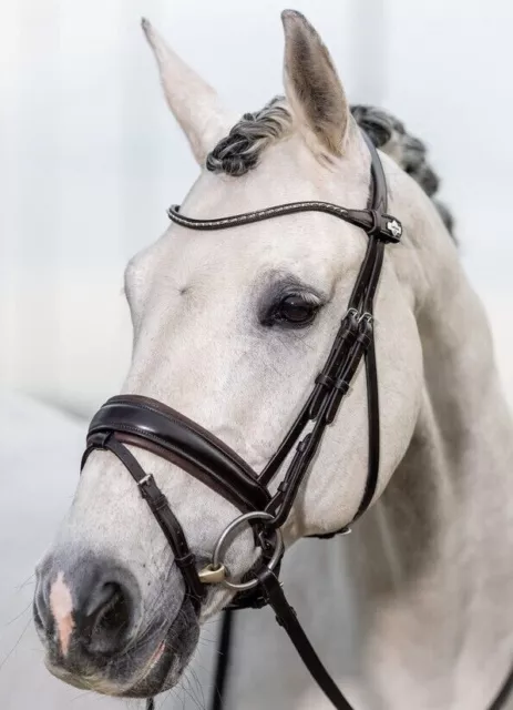 LeMieux Kudos Classic Dressage Bridle Soft Padded Anatomical Crank Black/Brown