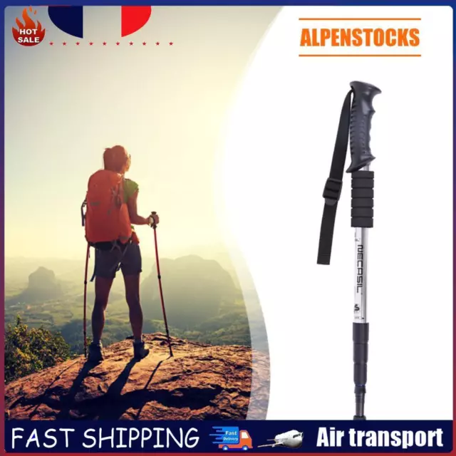 Trekking Pole 4 Sections Aluminum Telescopic Hiking Walking Cane (Silver) FR