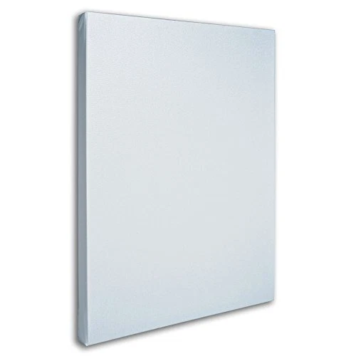 Trademark Fine Art Professional Blank White Canvas on Stretcher Bars 24 by 32...