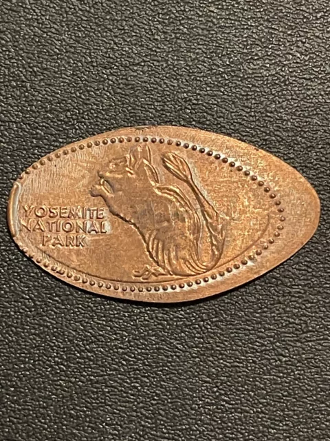 Yosemite National Park Squirrel Elongated Penny #6876