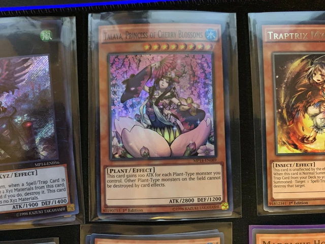 yugioh dark scorpion cards I tried to retrain Dark Scorpions. (Don Zaloog might be too much but I am  not quite sure) : r/customyugioh