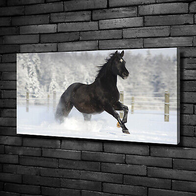 Tulup Dipinto Su Tela Pittura Su Un Muro 100x50cm - Galoppo Cavallo Di Neve