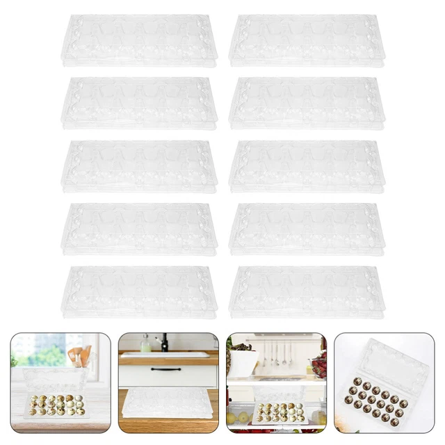40 Pcs Quail Egg Box Pvc Pigeon Cartons Dispenser Refrigerator