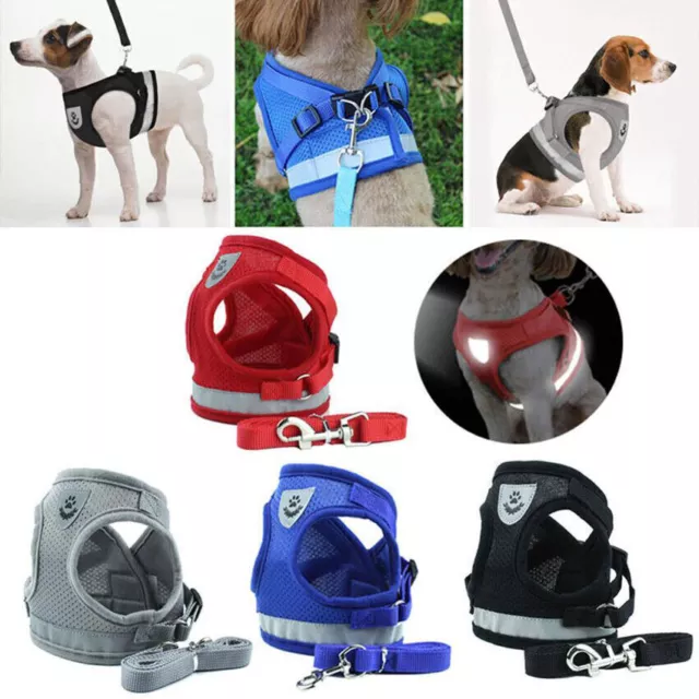 Cat Walking Jacket Escape Proof Harness and Leash Pet Puppy Adjustable Mesh Vest