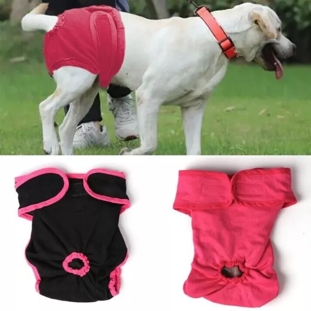 Female Pet Dog Physiological Pants Reusable Nappy Diaper Shorts Underwear M/L/XL