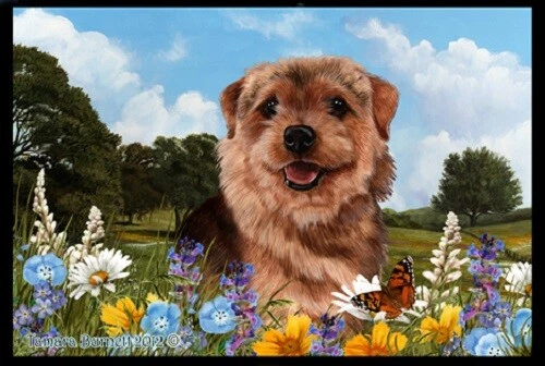 Summer Floor Mat - Norfolk Terrier 39225