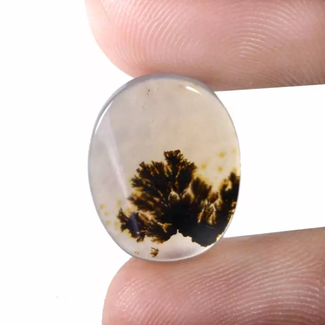 06.50 Cts 100% Natural Scenic Dendritic Agate Tree Cabochon Loose Gemstone TS21