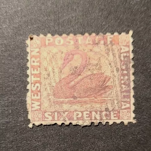 QV WESTERN AUSTRALIA SG57 1865 Swan 6d Used.