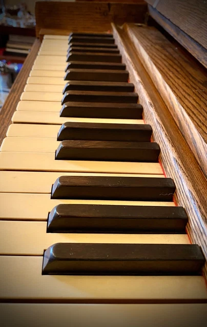 Strumenti antichi Harmonium a pedali funzionante costruito da Julius Estey 1893