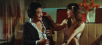 THE RUSS MEYER Collection 19 FILMS 13 PAL DVDs with/ Book ...