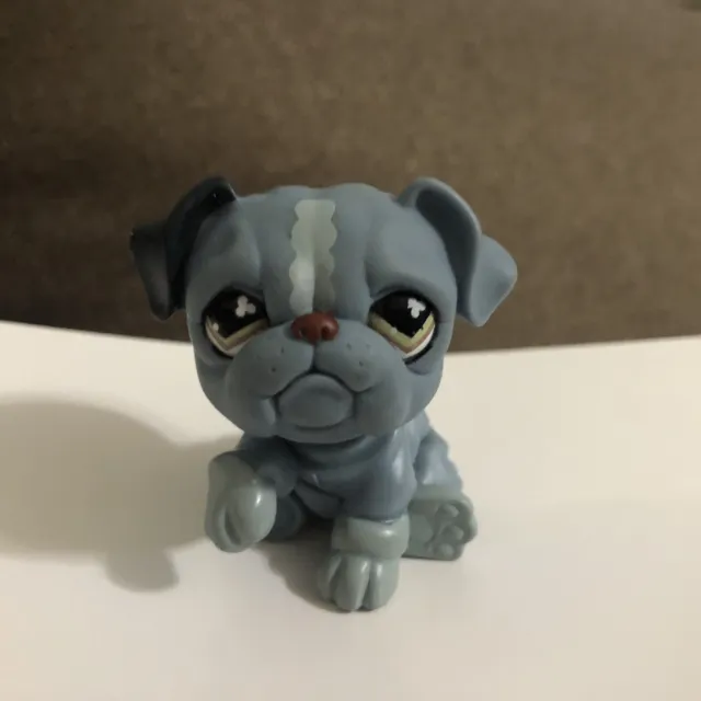 Littlest Pet Shop Blue Bulldog with Clover Eyes