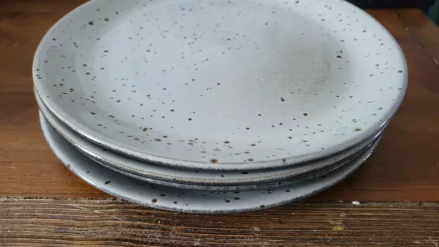 Pottery Barn Rustic Dinner  Plate Set of 4