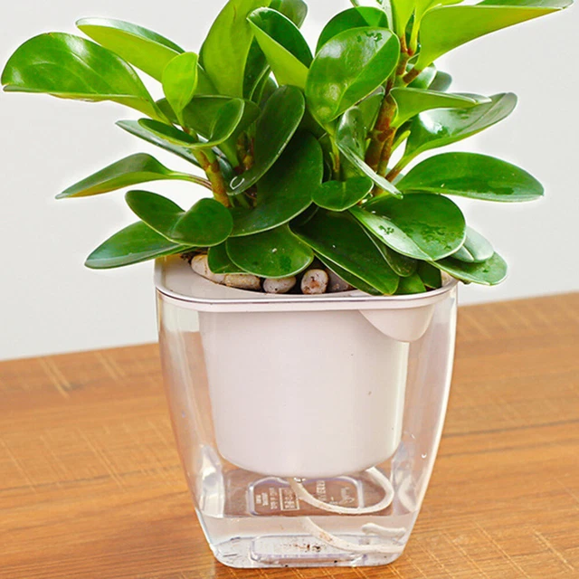 Vaso in vetro trasparente a forma di barile di legno creativo per soggiorno, vaso per fiori secchi - Cina Decorazione domestica e decorazione prezzo