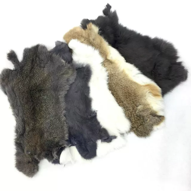 1-10pcs Rabbit Skin Fur Pelt Real Fur Pelts for Animal Training Garment 4 Colors 1-10pcs Rabbit Skin Fur Pelt Real Fur Pelts for Animal Training Garment 4 Colors