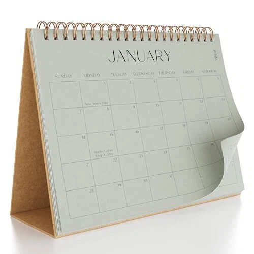AESTHETIC SMALL 20252025 Desk Calendar with January 2025 until June