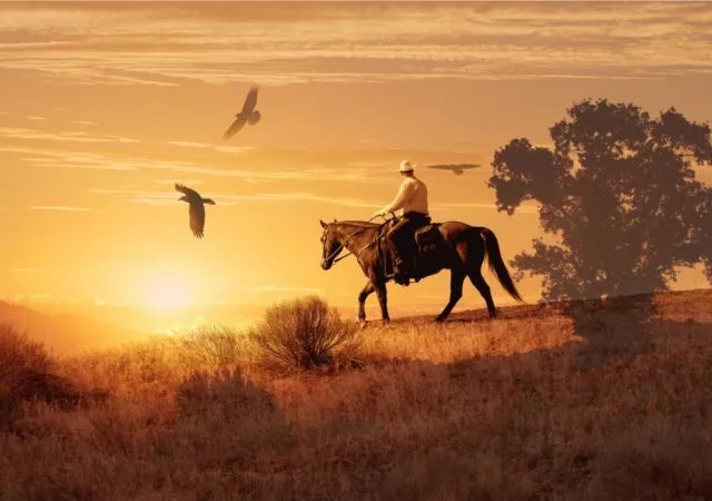 VLIES Fototapete-COWBOY-(2705S)-Wild West Pferd Tiere Herde Landschaft Lauf