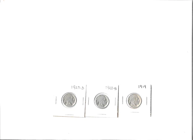three Buffulo Nickels, 1919, 1923-S and 1927-D