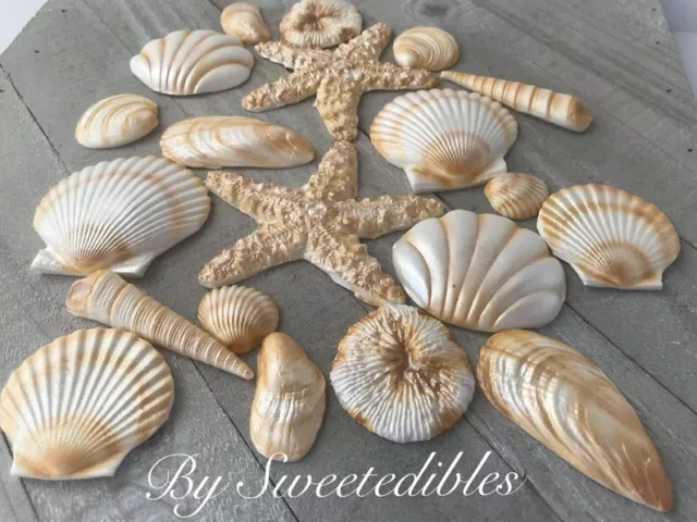 20 Piece Edible Sugar Gum Paste Seashells Fondant 2