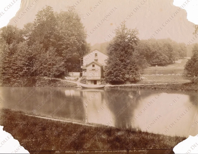 1890 BELGIUM Brussels Bois de la Cambre Foto albumen print