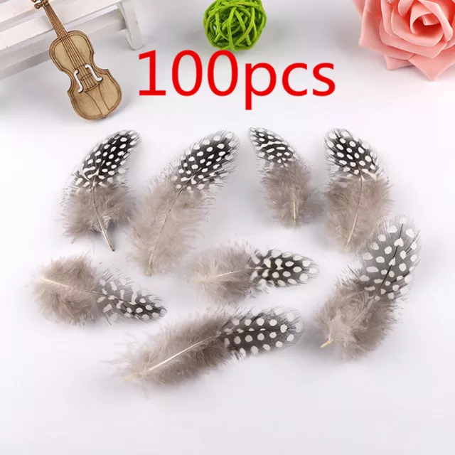 100Pcs Beautiful Natural Guinea Fowl Feathers Wedding Craft Art Decoration