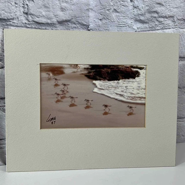 Original Lang Photography photo “Laguna-Scape” signed numbered edition 1/21