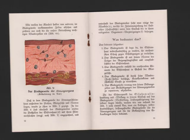 KONSTANZ, Prospekt 1920, Carl Bühler Fabrikation pharmaz. Präparate Silphoscalin 2