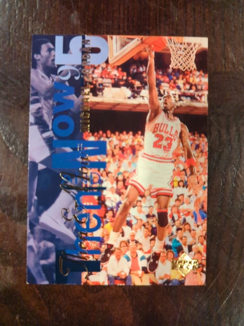 michael jordan chicago bulls upper deck