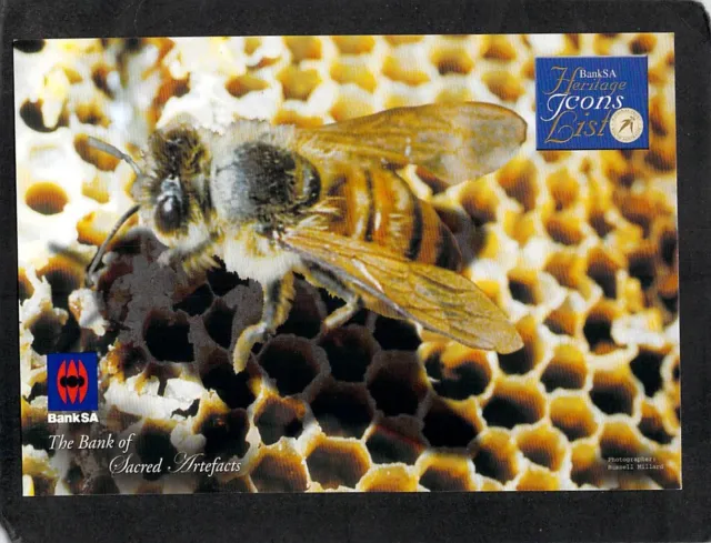 S0105 South Australia BankSA Heritage Icons Ligurian Bee postcard