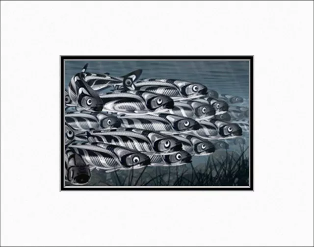 RIVER OF WEALTH - K'omoks Salmon by Andy Everson - 11" x 14" Matted art print