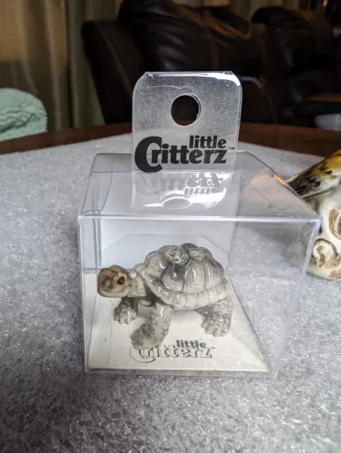 Little Critterz Galapagos Tortoise "Darwin" Miniature Porcelain Figurine NIB