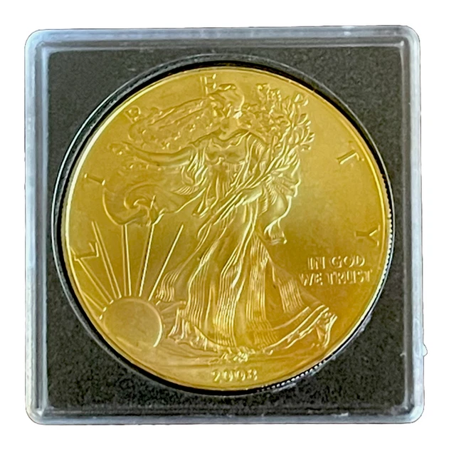2008 Pure Silver American Eagle Dollar / 24k Gold Plated / Encased / Free Ship!