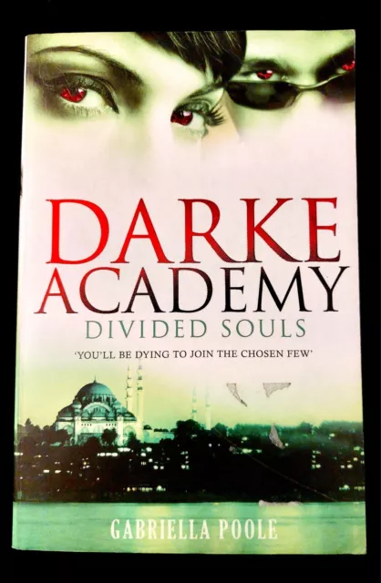 Darke Academy: Divided Souls Book 3 by Gabriella Poole (Paperback, 2010)